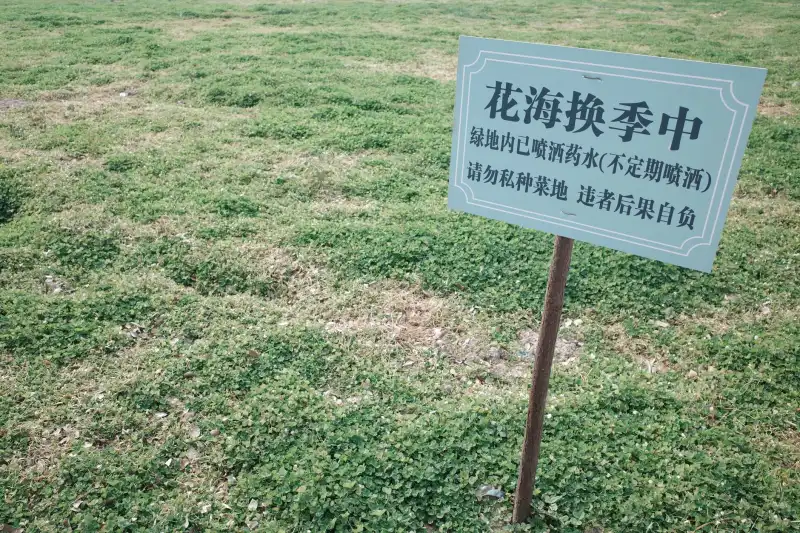 2025年成都幼儿教育新政解读：双语艺术启蒙课程如何提升学前教育质量