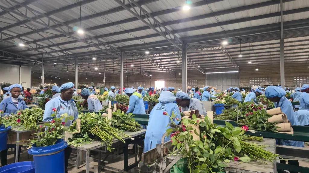成华区妈妈爱幼儿园双语课程与艺术启蒙模块化教学方案解析