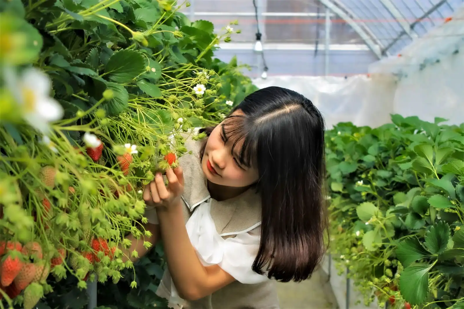 成都幼儿双语启蒙与艺术教育融合的实践路径分析