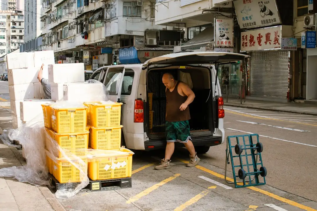 三至六岁儿童语言敏感期教育策略：双语艺术课程在幼儿园的实践应用