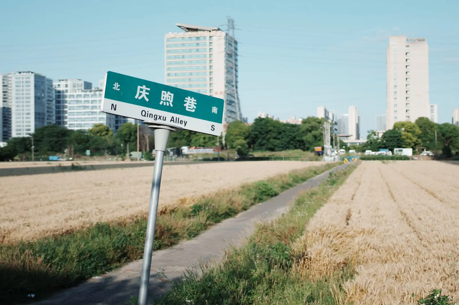 幼儿园双语教学与艺术融合课程设计的关键要点与实施方案